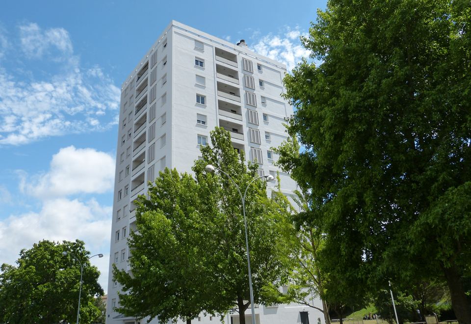 Balichon à Bayonne