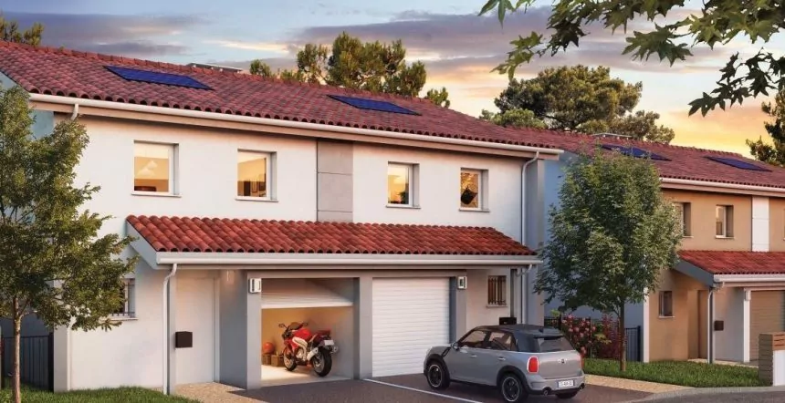 Les Althéas à Boucau